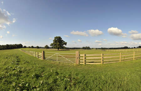 footpath through the estate grounds of Ragley hall Warwickshire The Midlands England UKの写真素材