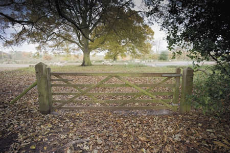 A gate on a footpath.の写真素材