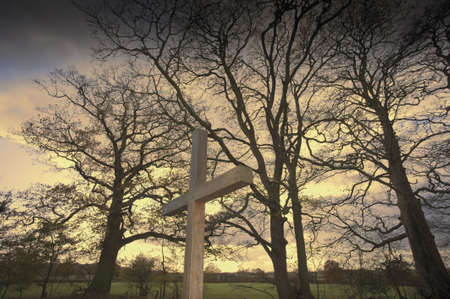 a wooden cross in a cemeteryの写真素材
