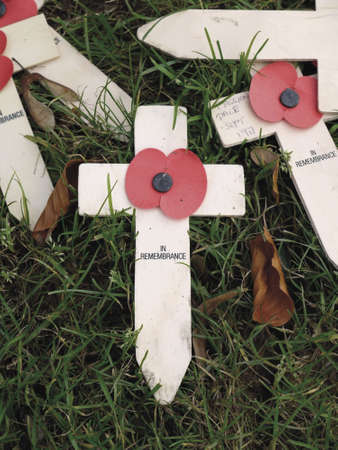 a remembrance sunday memorialの写真素材