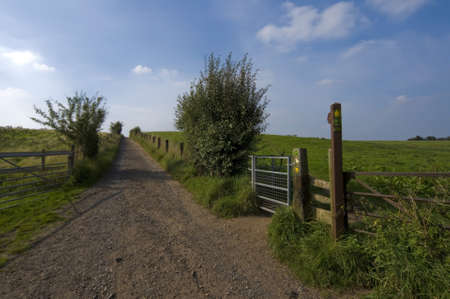 footpath through vegetationの写真素材