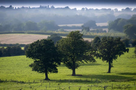 farm in the middle of farmland and fieldsの写真素材