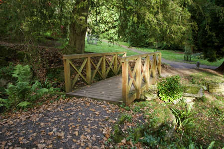 autumn woodland at batsford arboretum the cotswolds gloucestershire midlands england ukの写真素材