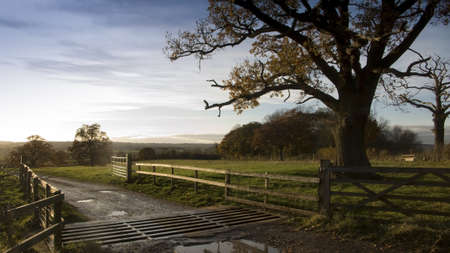 farmland clouds trees ploughed earth soil agricultureの写真素材
