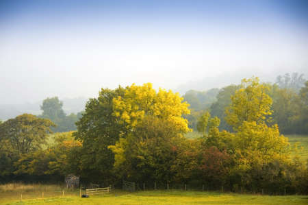 autumn woodlandの写真素材