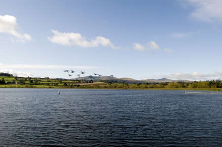 llangorse lake llangors powys brecon beacons national park wales ukの写真素材