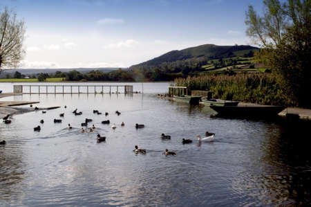 llangorse lake llangors powys brecon beacons national park wales ukの写真素材