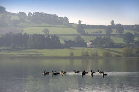 llangorse lake llangors powys brecon beacons national park wales ukの写真素材