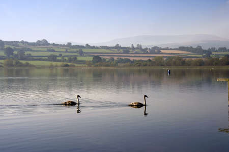 llangorse lake llangors powys brecon beacons national park wales ukの写真素材