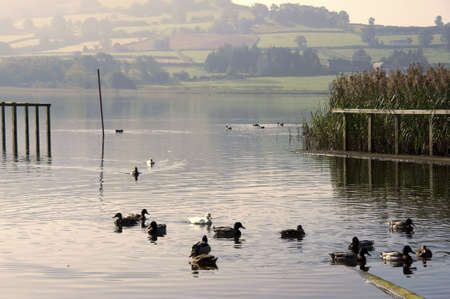 llangorse lake llangors powys brecon beacons national park wales ukの写真素材