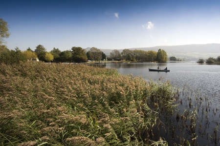 llangorse lake llangors powys brecon beacons national park wales ukの写真素材
