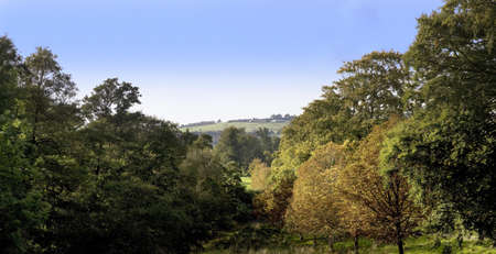 autumn woodlandの写真素材