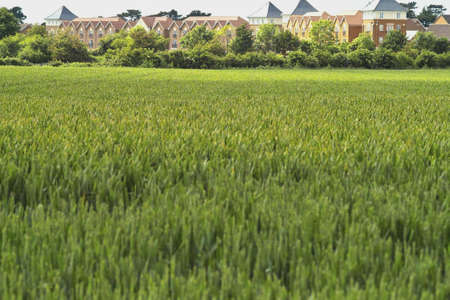 housing homes propertyの写真素材