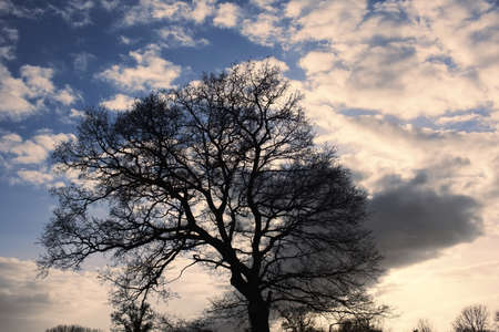 A winter sunset in the countryside.の写真素材