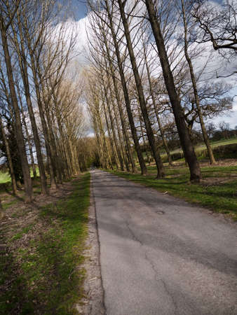 country road umberslade warwickshire fields farm farmlandの写真素材