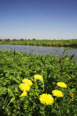 The banks of a river, with bushes and trees.の写真素材
