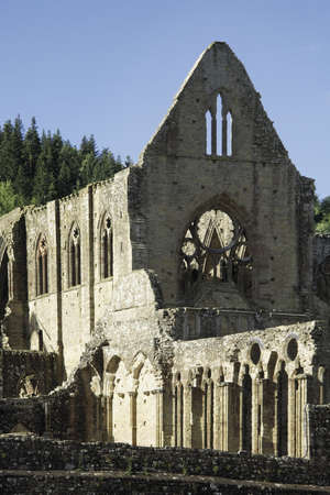 wales monmouthshire TINTERN ABBEYの写真素材