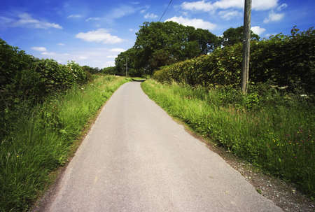 country lane on an estate warwickshire midlands england ukの写真素材