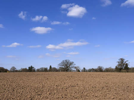 farmland clouds trees ploughed earth soil agricultureの写真素材