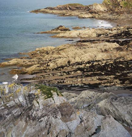 headland on the devon coast at ilfracombeの写真素材