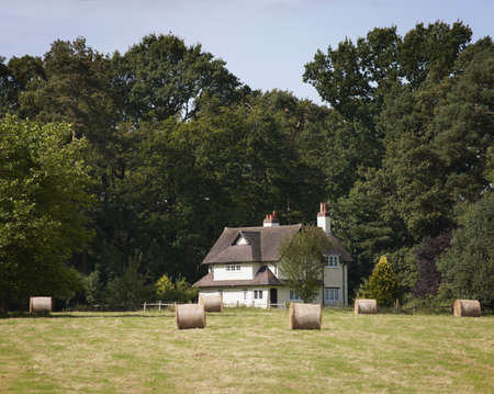 farm in the middle of farmland and fieldsの写真素材