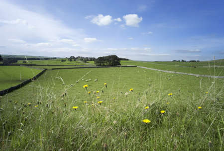 peak district landscape with fields and dry stone walls - view from the tissington trail cycle path and footpathの写真素材