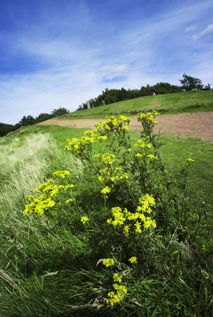 the licky hills country park with footpaths and trees in worcestershire, the midlands in the ukの写真素材
