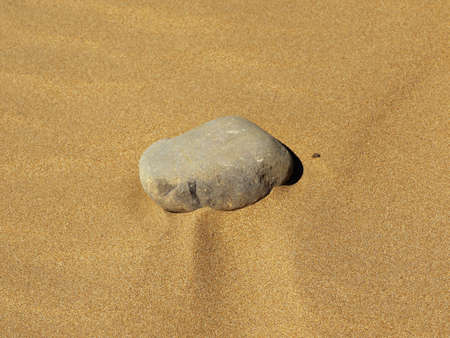 stone in the sand on a beachの写真素材