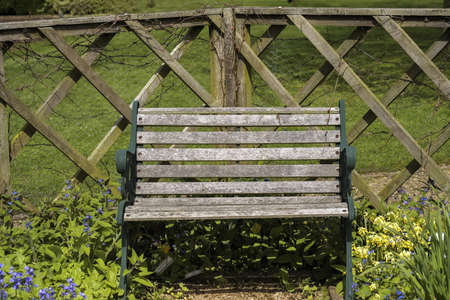 a bench in a country garden