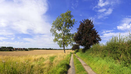 a footpath and public bridleway through the countrysideの写真素材