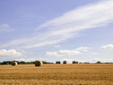 hay bales in a field on a farmの写真素材