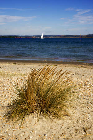 west wittering beach sussex englandの写真素材