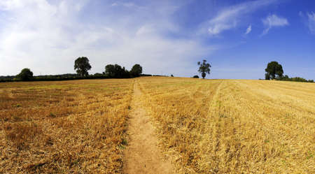 a footpath and public bridleway through the countrysideの写真素材