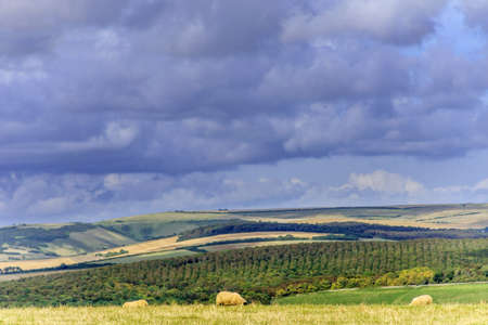 south downs
