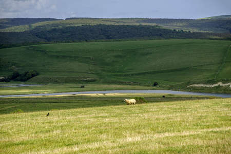south downs national parkの写真素材