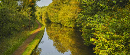 The banks of a river, with bushes and trees.