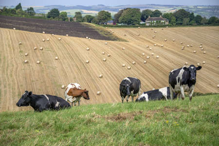 view from the south downs way footpath, sussex, england ukの写真素材