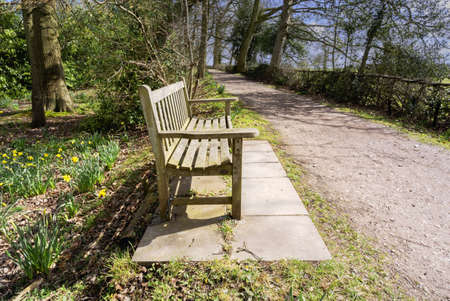 a bench in a country gardenの写真素材