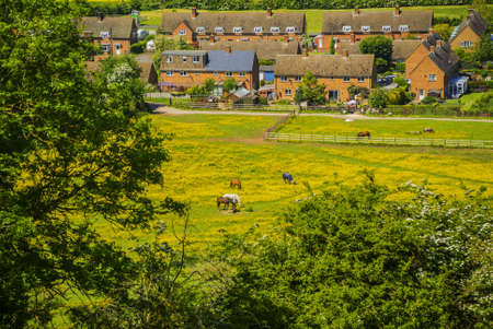 village with houses in countrysideの写真素材