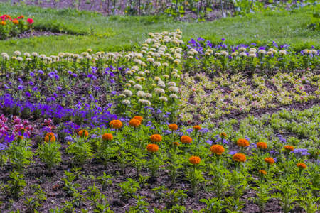gardens in a stately home, uk