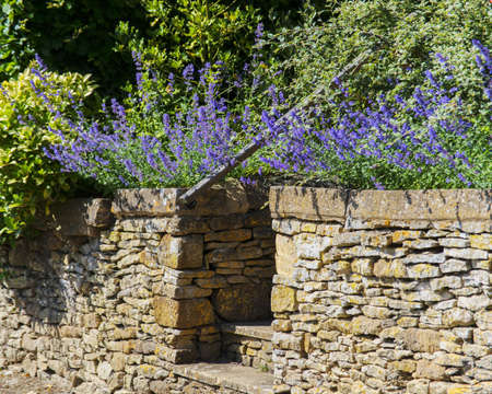 a country cottage with a garden in the oxfordshire cotswolds village of adlestropの写真素材