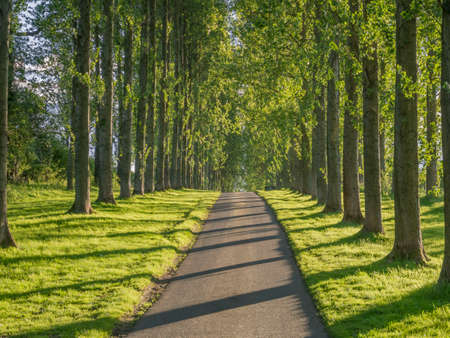 country road umberslade warwickshire fields farm の写真素材