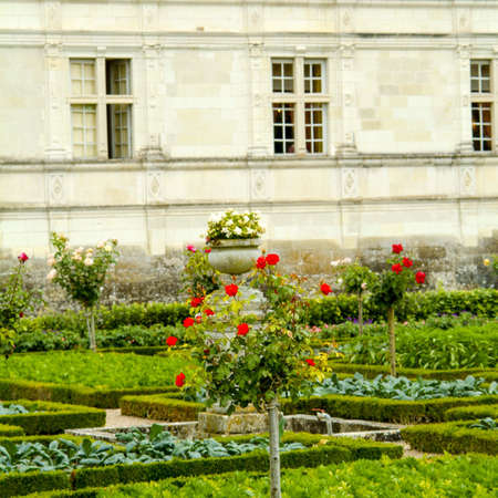 Gardens chateau de villandry Loire valley France - shot with a mobile phoneの素材