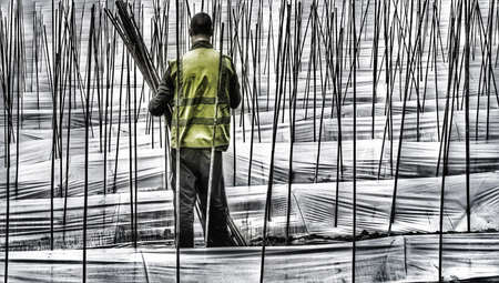 Agricultural worker laying out poles to grow kidney beans in a field