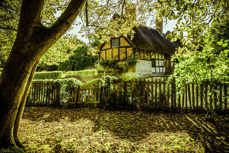 Traditional English cottageの素材