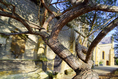 Shakespeares burial place holy trinity church stratford-upon-avon  warwickshire the midlands england uk.の写真素材