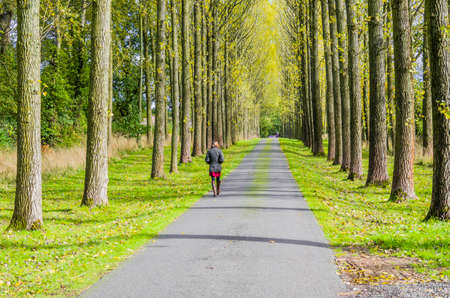 a footpath and public bridleway through the countrysideの写真素材