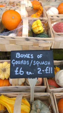 Farmers marketの素材