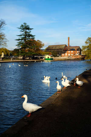 Stratford upon Avon river Avon