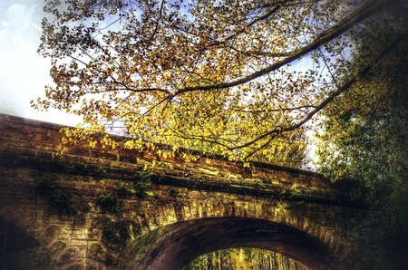 Filtered impressionistic nature of a forest in autumnの素材